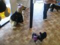 20121027_141719.jpg