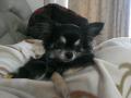 IMAG0179.jpg