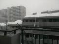 IMAG0258.jpg