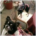 pic20130112171207.jpg