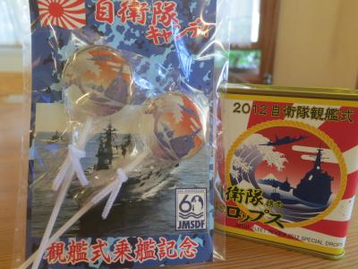 観艦式56