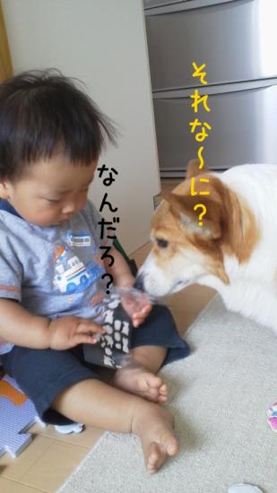 2012070210540000.jpg
