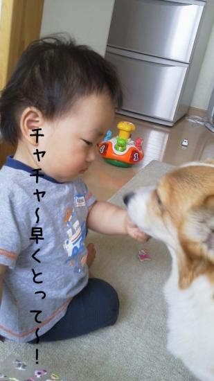 2012070210550000.jpg