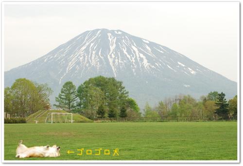 DSC_4293.jpg