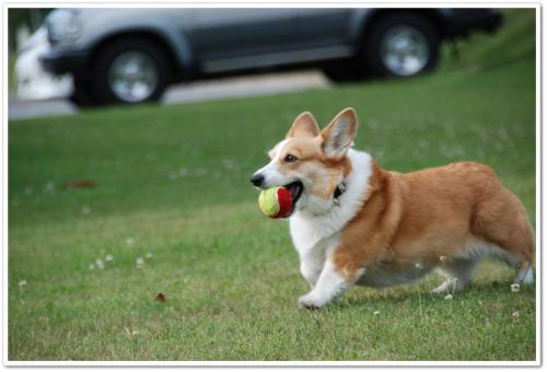 DSC_4915.jpg