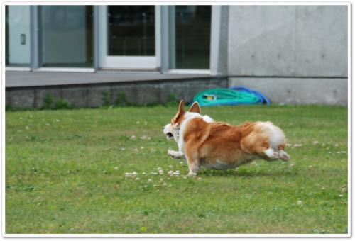DSC_4921.jpg