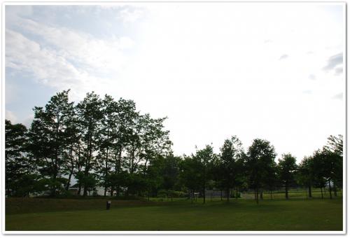 DSC_4959.jpg