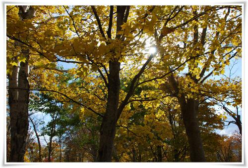 DSC_6159.jpg