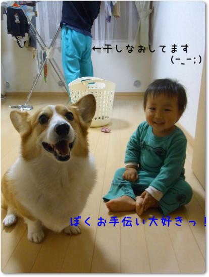 RIMG0712_20121022220016.jpg