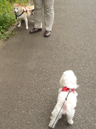 120613da.jpg