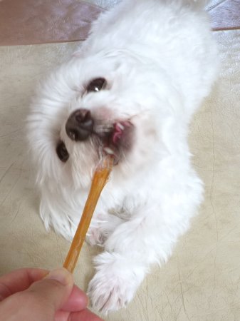 120811e.jpg