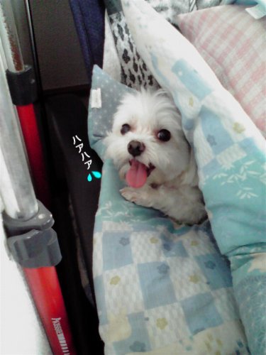 120913a.jpg