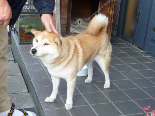 130107a.jpg