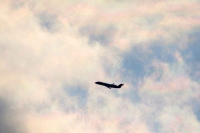 CF1411_6753.jpg