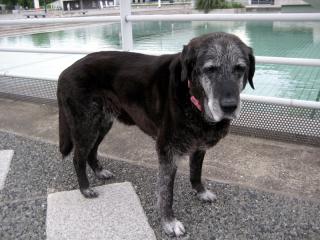 201206_sherry-01.jpg