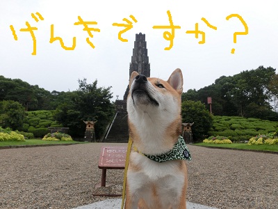 平和台