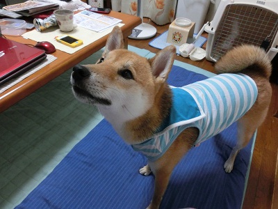 CIMG0500.jpg