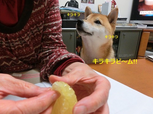 CIMG0805.jpg
