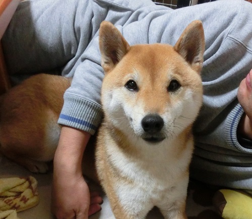 CIMG0957_201402010001494da.jpg
