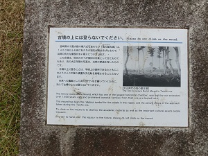 CIMG1651.jpg