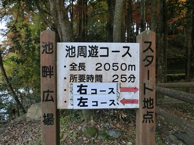 CIMG2356.jpg