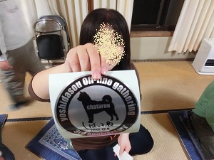 CIMG2533-1.jpg
