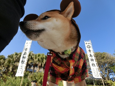 CIMG3057.jpg