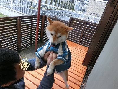 CIMG3204_20130113213633.jpg
