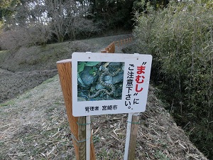 CIMG3880.jpg