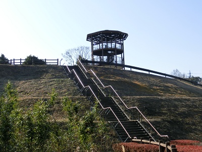 CIMG3881.jpg