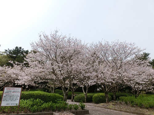 CIMG4380.jpg