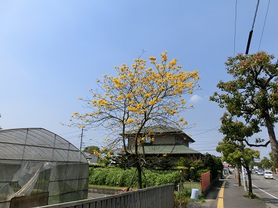 CIMG4679.jpg