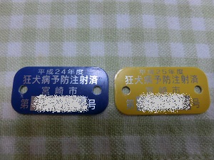 CIMG4703.jpg