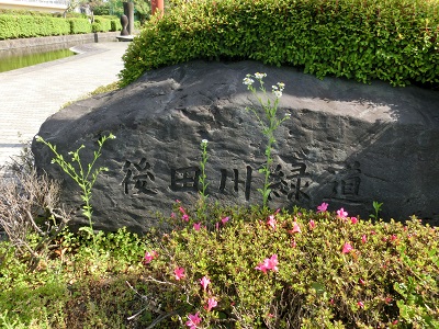 CIMG4787.jpg