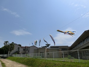 CIMG5028.jpg