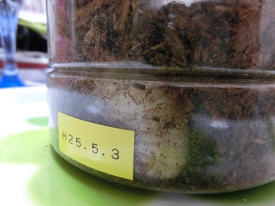 CIMG5235.jpg
