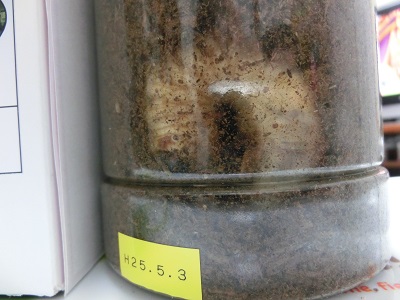 CIMG5236.jpg