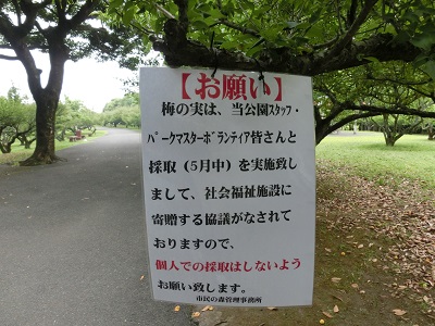 CIMG5373.jpg