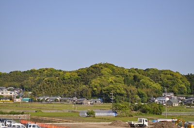 DSC_0005_20130504133453.jpg