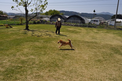 DSC_0015_20130414230229.jpg