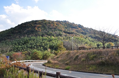 DSC_0017.jpg
