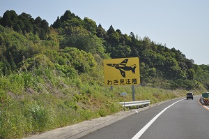 DSC_0017_20130504133452.jpg