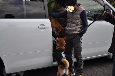 DSC_0020_20121210235831.jpg