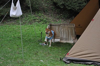 DSC_0022_20121010232411.jpg