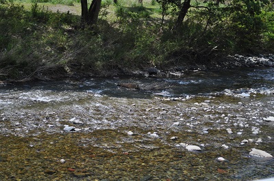 DSC_0022_20130504133630.jpg