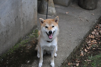 DSC_0024.jpg