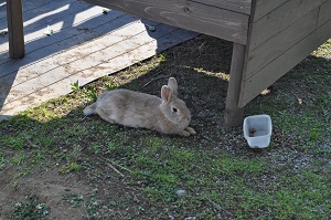DSC_0024_20130507225310.jpg