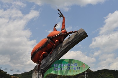 DSC_0039_20130504133911.jpg