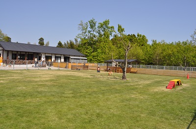 DSC_0040_20130414230230.jpg