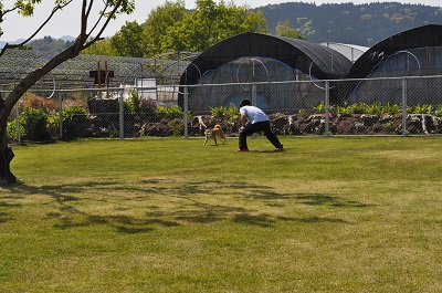DSC_0053_20130414230227.jpg